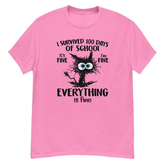 All Is fine 100 Days for Schools